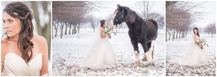 Bride with a horse 
