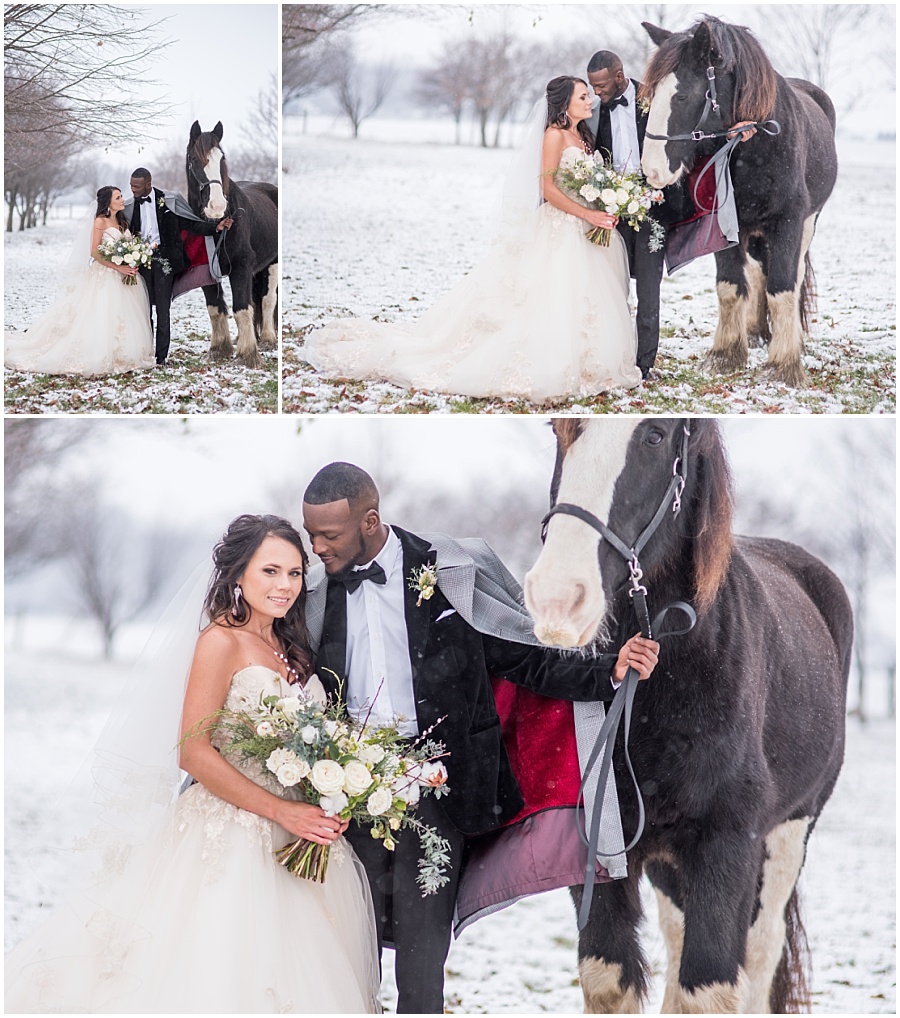 Clydesdale, wedding photography