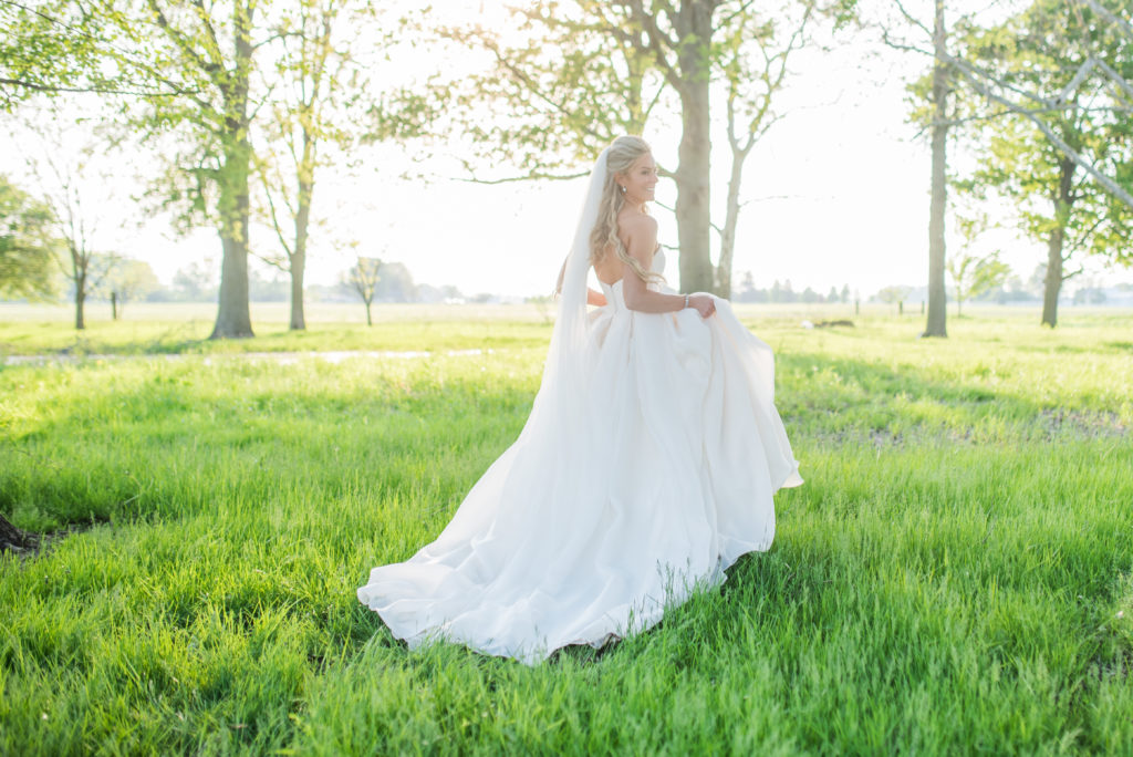 Wedding dress, Bridal gown 